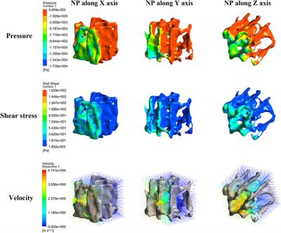 Combined computational analysis and cytology show limited depth osteogenic effect on bone defects in negative pressure wound therapy